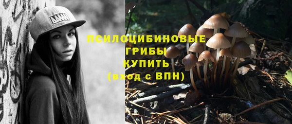 трава Балахна