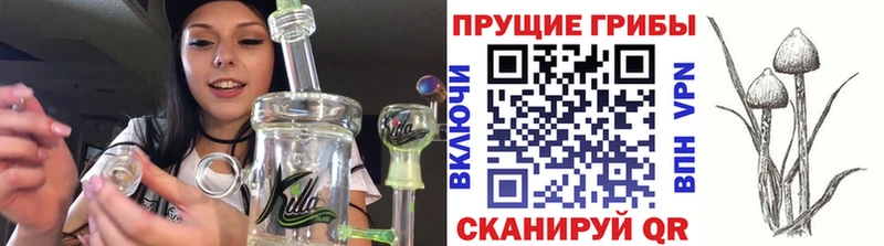 Псилоцибиновые грибы мухоморы  Ессентуки 